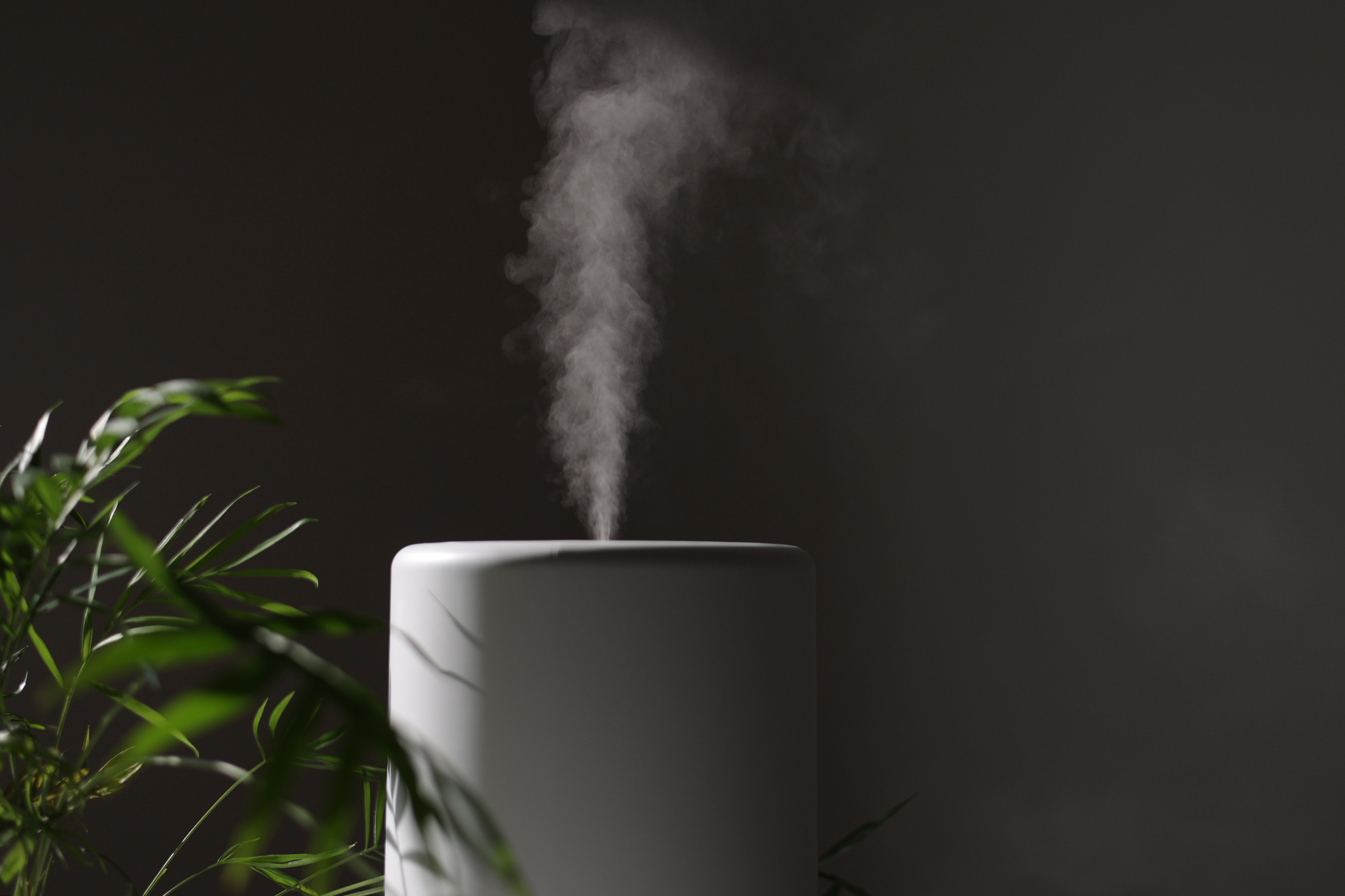 As Melhores Marcas de Umidificador de Ar: Top 7 de 2026 1 Umidificador de Ar