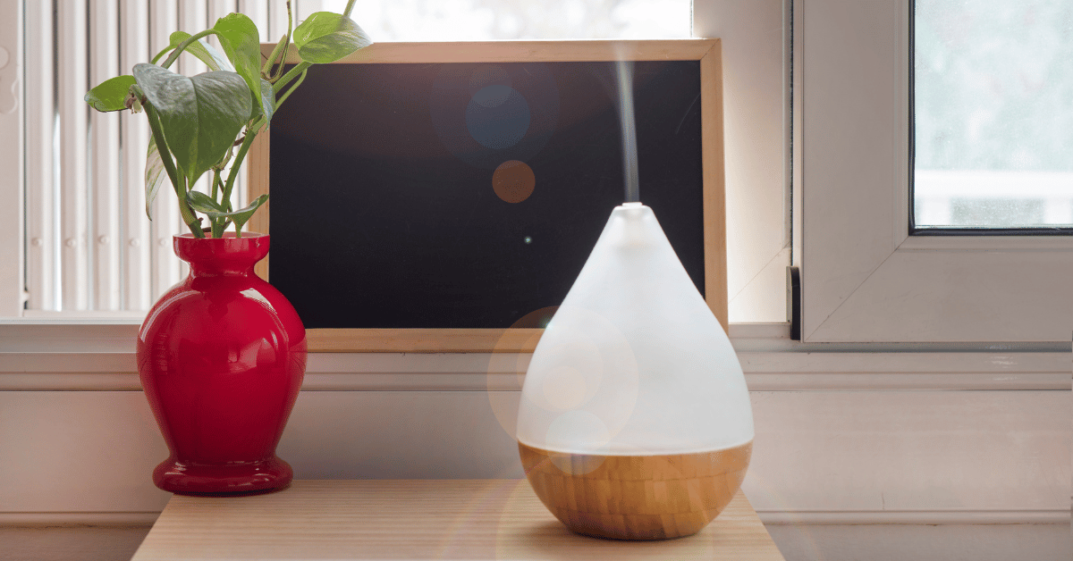 umidificador de ar ao lado de um vaso de planta